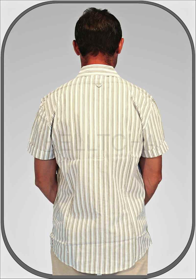 Pánská proužkovaná košile FSHM553/W1